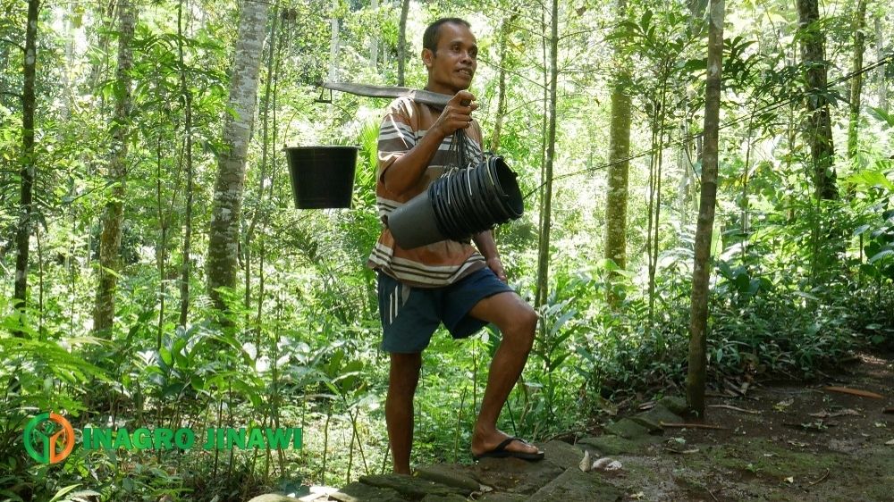 Kartu Asuransi BPJS Petani Gula dampingan Inagro Jinawi