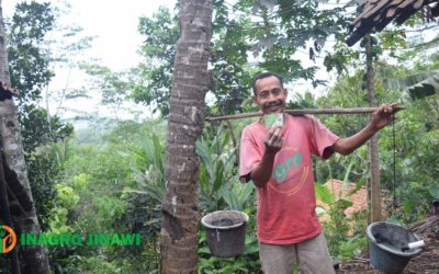 The Importance of Social Security For Coconut Sugar Farmers