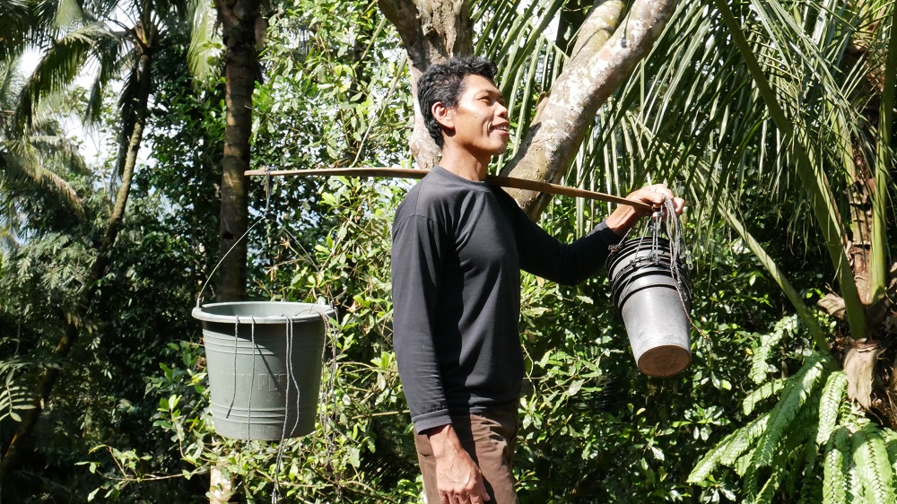 Nira Hasil Nderes Di Bawa Pulang