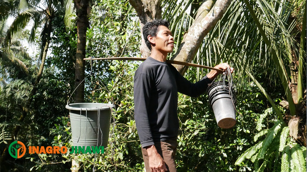 Nira Hasil Nderes Di Bawa Pulang